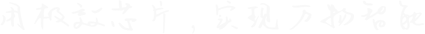用極效芯片，實(shí)現(xiàn)萬物智能